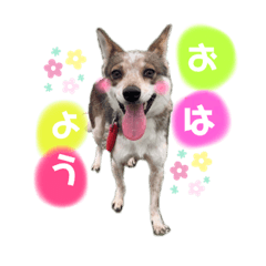 rina_20220630014537