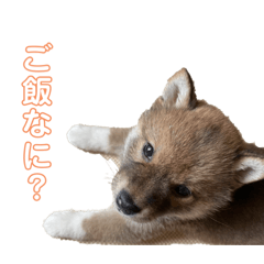 Ayumi_20220629224355