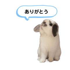 Shin_20220630011711
