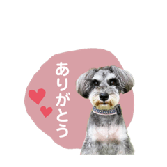 Yuka_20220629235922