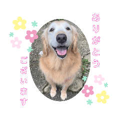 honey_20220630000753