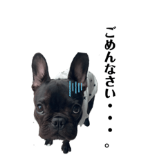 miko_20220629172222