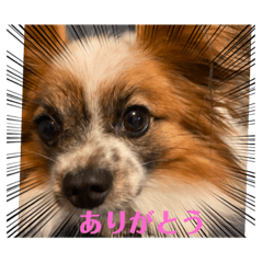 Rina_20220629212300