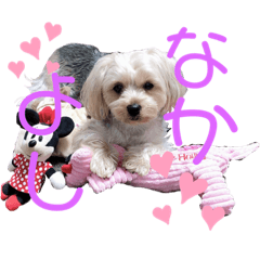 chii_with_cocoa_20220629224045