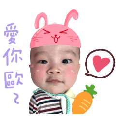 睿睿Boss的日常