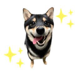 yuka_20220630161050