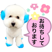 Benzmama_20220630163850