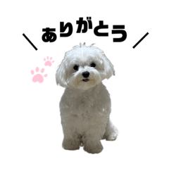 moyu_20220630164531
