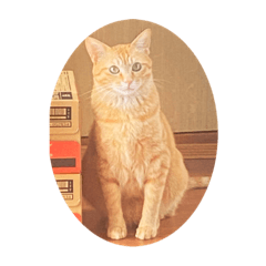 shiho_20220701011050