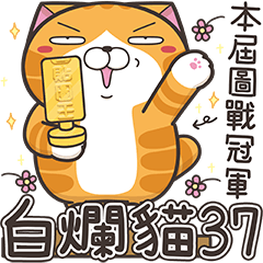 Lan Lan Cat 37