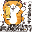 ランラン猫 37 (台湾版)