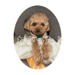hana_20220630220345