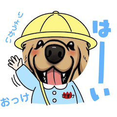 BISUKE'S STORY Golden Retriever-mimi29