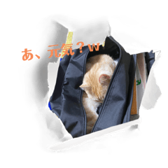 yuuko_20220630205805