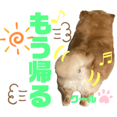 megumi_20220630210244
