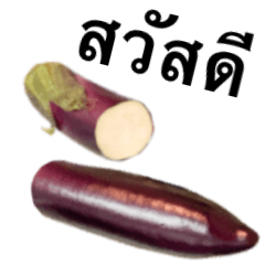 ナス です 野菜　タイ語　紫