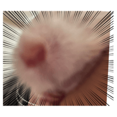 mizuki_20220701133341