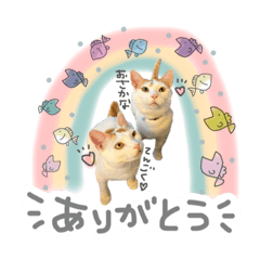 aoi_20220701162432