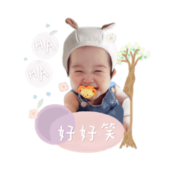 箱子布魯的寶貝