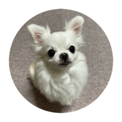 fuwa_20220702082732