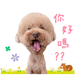 Susi王子專屬貼圖