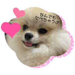 nozomi_20220702051230