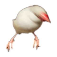 Arser_20220701183320