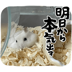 mizuki_20220701212711