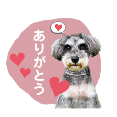 Yuka_20220701193504