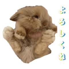 arisa_20220701202928