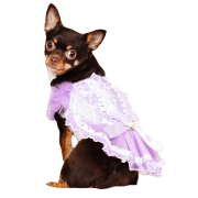 Chloe cute Sticker