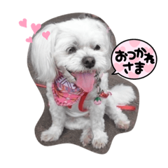 Hana_20220701233902