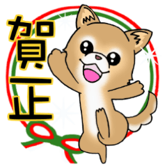 Brown Chihuahuar's New year Modified Ver