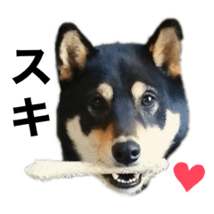 JACK_20220701214939