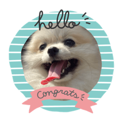 nozomi_20220702110321