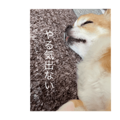 fuwa_20220702124314