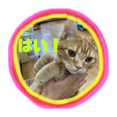 maipan_20220702143206