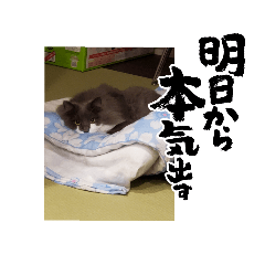 giiiru