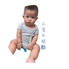 本丸雜事