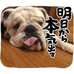 Hana_20220702162634