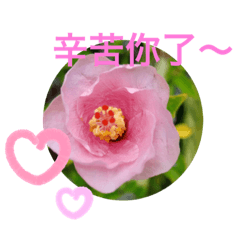 Life in the botanical garden