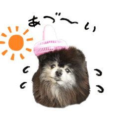 YUKA_20220702170453