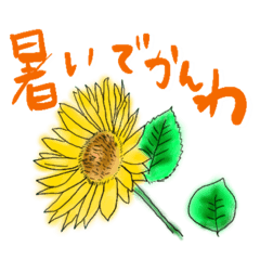 Nagoya/sunflower