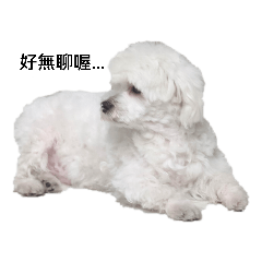 可愛的臭狗(^^)