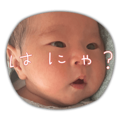 ARISA_20220702184804