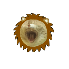 KatsuokaMomo