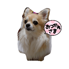 jin_20220703082927