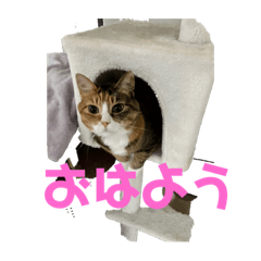 sayuri_20220702183528