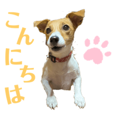 mizuki_20220703111109