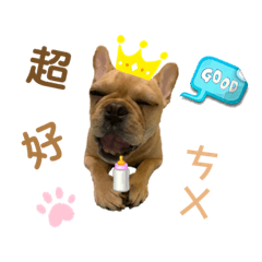 Dora小法鬥Go可ㄞ